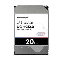 Western Digital / Hgst