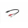 Microconnect - - Audio-Splitter - RCA mnnlich zu RCA weiblich - 20 cm
