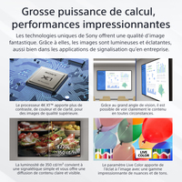 Monitor Digital Signage 16