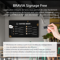 Monitor Digital Signage 17