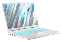 Acer 1
