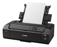Canon 13