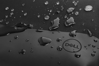 Dell 8
