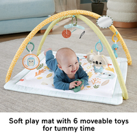 Fisher-price 17