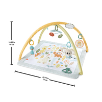 Fisher-price 21