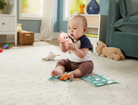 Fisher-price 5
