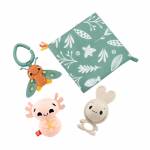 Fisher-price - Sensorische Erlebnisse Geschenkset, Beiring