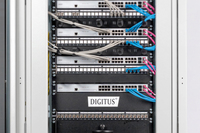 Digitus 1