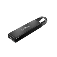 Sandisk 2