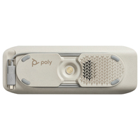 Poly 11