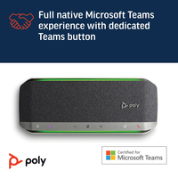 Poly 13
