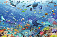 Ravensburger 1