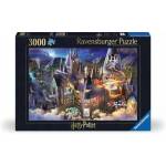 Ravensburger - Ravensburger Hogwarts Interior Jeu de puzzle 3000 pice(s) Fantaisie