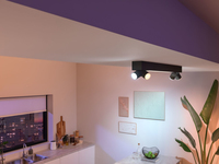 Philips 4