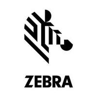 Zebra 2