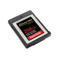 Sandisk 3