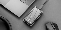 Sandisk 1