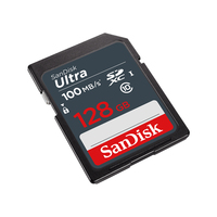 Sandisk 2
