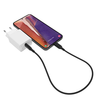 Zagg 1
