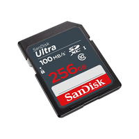 Sandisk 2
