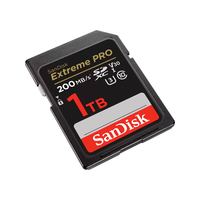 Sandisk 2