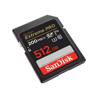 Sandisk 2