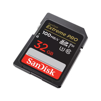Sandisk 2