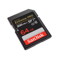 Sandisk 1