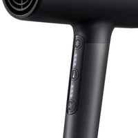 Braun 4