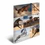Herma - HERMA 19209 Cardboard Multicolour folder