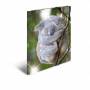 Herma - HERMA 19323 Polypropylene (PP) Multicolour folder