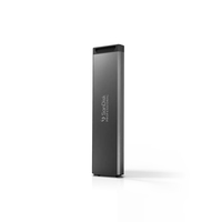 Sandisk Professional 2