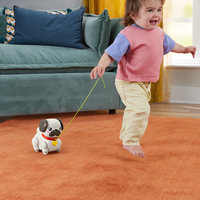 Fisher-price 5