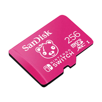 Sandisk 1