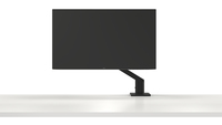 Dell 12
