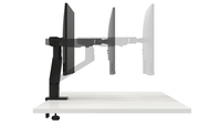 Dell 22