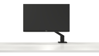Dell 25