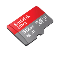 Sandisk 1