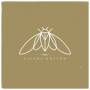 ImportCDs Cicada Rhythm Vinyl Americana  1