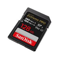 Sandisk 1