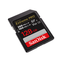 Sandisk 2