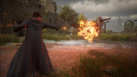 Koch Media 1