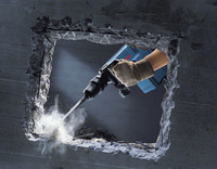 Bosch 12