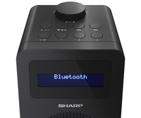 Sharp 12