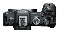 Canon 7