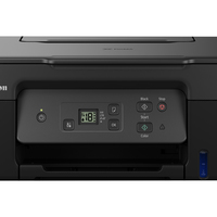 Canon 13