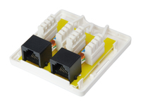 Equip Rj45 Dose 2xrj45 Aufputz Cat6 2