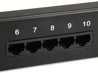 Equip Patchpanel 25x Cat3 19 1u Dual-idc-komp. Schwarz 2
