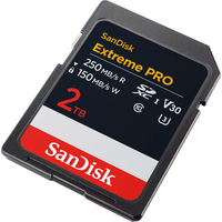 Sandisk 1