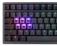 Asus Components 8